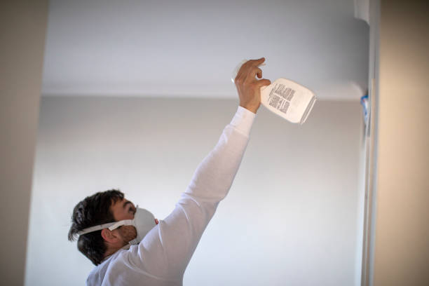 Best Black Mold Remediation in Marine, IL