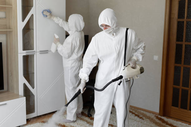 Best Mold Testing and Inspection Services in Marine, IL